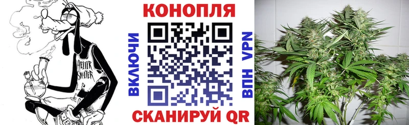 Галлюциногенные грибы Жердевка