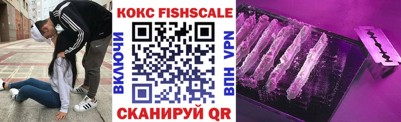 COCAIN Fish Scale  продажа наркотиков  Жердевка 
