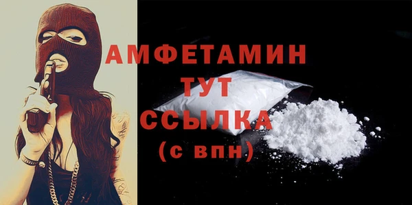 ПСИЛОЦИБИНОВЫЕ ГРИБЫ Вяземский