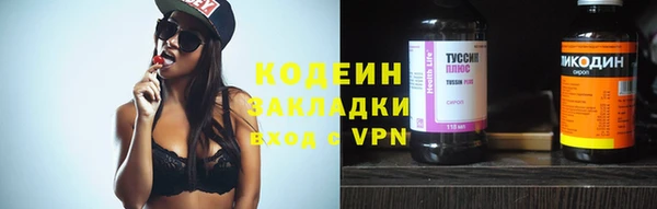 индика Горнозаводск