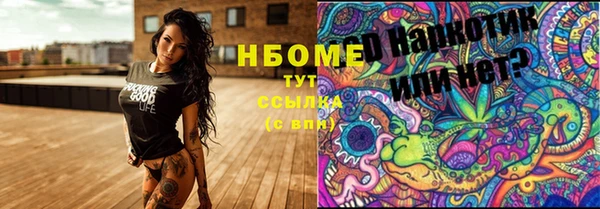 стафф Россошь